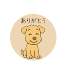 レークランドテリアのSANDYくん⭐︎（個別スタンプ：3）