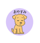 レークランドテリアのSANDYくん⭐︎（個別スタンプ：8）