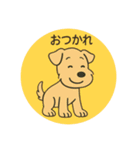 レークランドテリアのSANDYくん⭐︎（個別スタンプ：9）