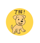 レークランドテリアのSANDYくん⭐︎（個別スタンプ：10）