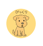 レークランドテリアのSANDYくん⭐︎（個別スタンプ：11）