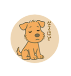 レークランドテリアのSANDYくん⭐︎（個別スタンプ：12）