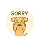 レークランドテリアのSANDYくん⭐︎（個別スタンプ：17）