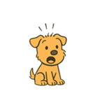 レークランドテリアのSANDYくん⭐︎（個別スタンプ：21）