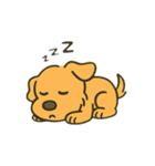 レークランドテリアのSANDYくん⭐︎（個別スタンプ：24）