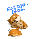 柴ちゃんの癒まくりスタンプ♡（個別スタンプ：16）