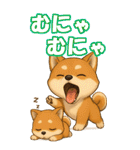 柴ちゃんの癒まくりスタンプ♡（個別スタンプ：36）