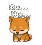 柴ちゃんの癒まくりスタンプ♡（個別スタンプ：40）