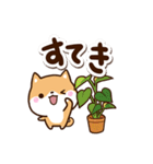 ちびシバ【カフェ】（個別スタンプ：13）