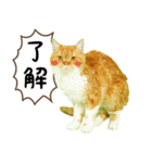 マロンちゃんの可愛いスタンプです！！（個別スタンプ：1）