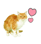 マロンちゃんの可愛いスタンプです！！（個別スタンプ：3）