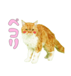 マロンちゃんの可愛いスタンプです！！（個別スタンプ：4）