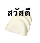 国産玉ねぎ【タイ語のみ】（個別スタンプ：1）