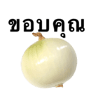 国産玉ねぎ【タイ語のみ】（個別スタンプ：2）