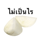 国産玉ねぎ【タイ語のみ】（個別スタンプ：3）