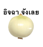 国産玉ねぎ【タイ語のみ】（個別スタンプ：6）