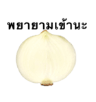国産玉ねぎ【タイ語のみ】（個別スタンプ：8）