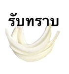 国産玉ねぎ【タイ語のみ】（個別スタンプ：12）