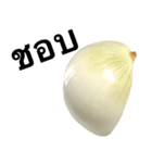 国産玉ねぎ【タイ語のみ】（個別スタンプ：16）