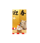 飛び出す！12の干支で迎春・謹賀新年（個別スタンプ：12）