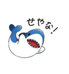 コテコテ関西弁のええサメ、シャーくん！（個別スタンプ：1）
