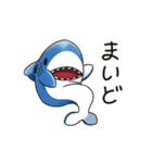 コテコテ関西弁のええサメ、シャーくん！（個別スタンプ：12）