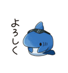 コテコテ関西弁のええサメ、シャーくん！（個別スタンプ：15）