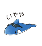 コテコテ関西弁のええサメ、シャーくん！（個別スタンプ：31）