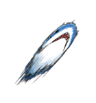 コテコテ関西弁のええサメ、シャーくん！（個別スタンプ：37）