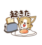 『チワワ 犬スタンプ』カフェ（個別スタンプ：1）