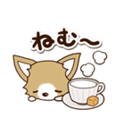 『チワワ 犬スタンプ』カフェ（個別スタンプ：3）