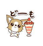 『チワワ 犬スタンプ』カフェ（個別スタンプ：4）