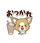 『チワワ 犬スタンプ』カフェ（個別スタンプ：6）