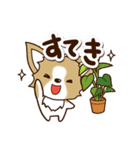 『チワワ 犬スタンプ』カフェ（個別スタンプ：13）