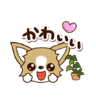 『チワワ 犬スタンプ』カフェ（個別スタンプ：16）