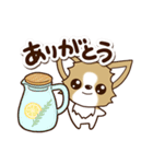 『チワワ 犬スタンプ』カフェ（個別スタンプ：17）