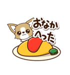 『チワワ 犬スタンプ』カフェ（個別スタンプ：25）