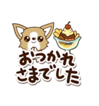 『チワワ 犬スタンプ』カフェ（個別スタンプ：26）