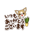 『チワワ 犬スタンプ』カフェ（個別スタンプ：27）