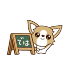 『チワワ 犬スタンプ』カフェ（個別スタンプ：30）