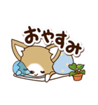 『チワワ 犬スタンプ』カフェ（個別スタンプ：32）