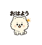 毎日使う連絡・約束・日常語 ポメ君 BIG（個別スタンプ：1）