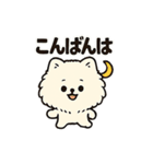 毎日使う連絡・約束・日常語 ポメ君 BIG（個別スタンプ：9）