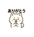 毎日使う連絡・約束・日常語 ポメ君 BIG（個別スタンプ：10）