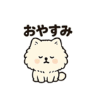 毎日使う連絡・約束・日常語 ポメ君 BIG（個別スタンプ：12）