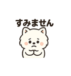 毎日使う連絡・約束・日常語 ポメ君 BIG（個別スタンプ：13）