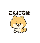 毎日使う連絡・約束・日常語 ポメ君 BIG（個別スタンプ：22）