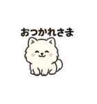 毎日使う連絡・約束・日常語 ポメ君 BIG（個別スタンプ：24）