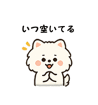 毎日使う連絡・約束・日常語 ポメ君 BIG（個別スタンプ：25）