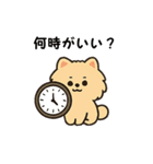 毎日使う連絡・約束・日常語 ポメ君 BIG（個別スタンプ：26）